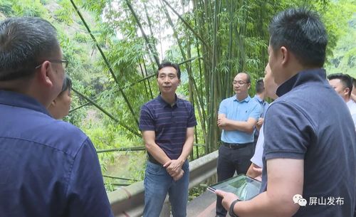 代軍深入龍華鎮(zhèn)調(diào)研指導(dǎo)，聚焦旅游項(xiàng)目開(kāi)發(fā)新藍(lán)圖